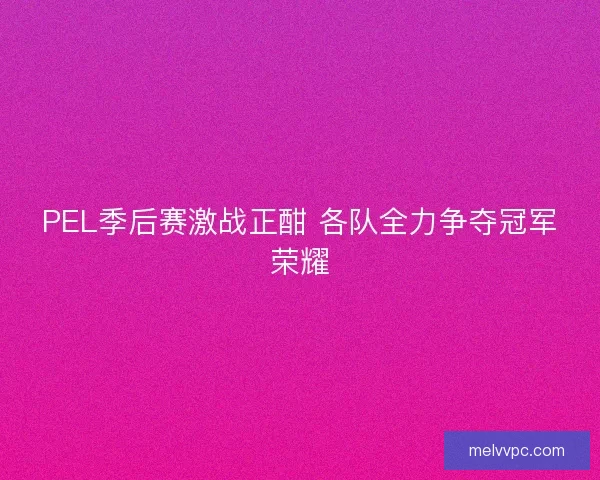 PEL季后赛激战正酣 各队全力争夺冠军荣耀